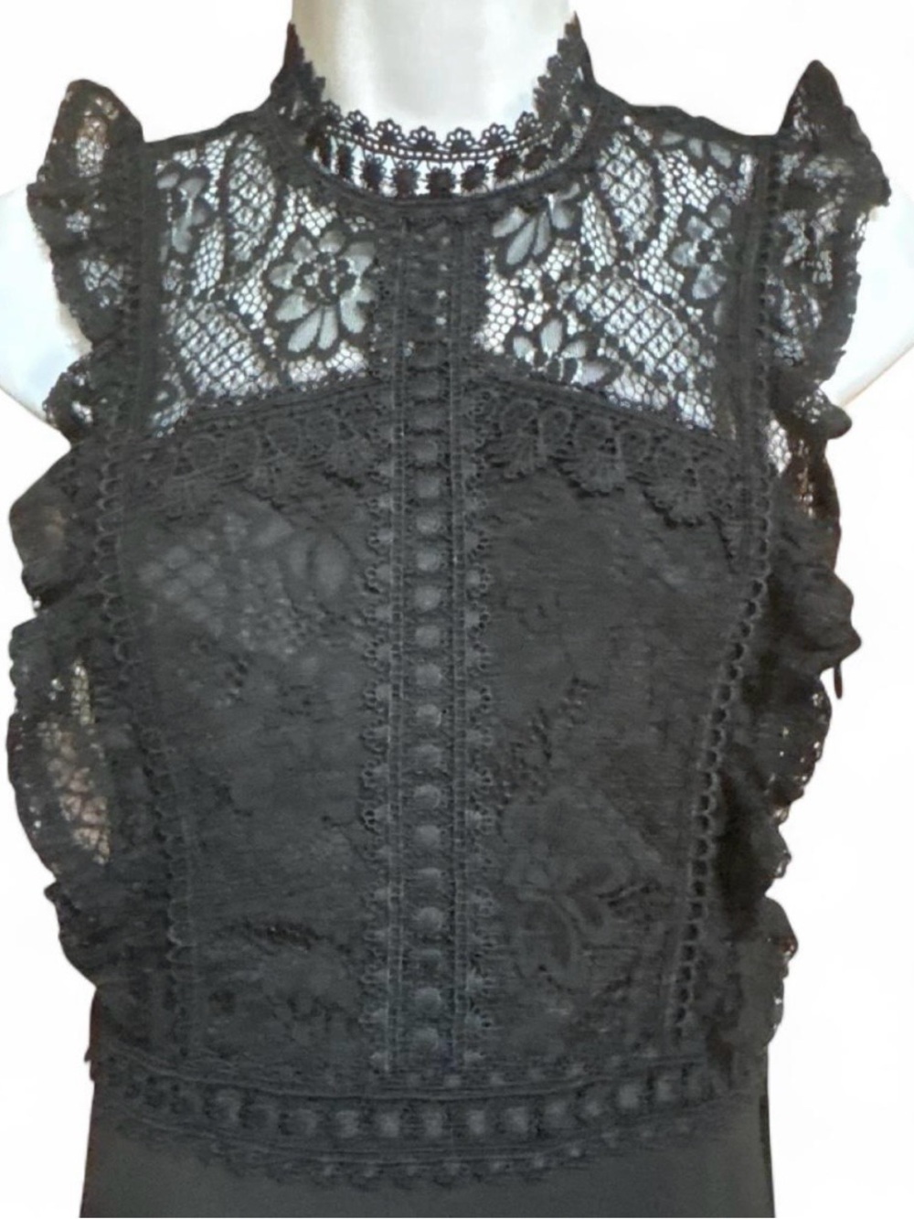 Sleeveless Black Lace Sheath Midi Dress Blashe NWT cocktail gothic - Picture 2 of 6